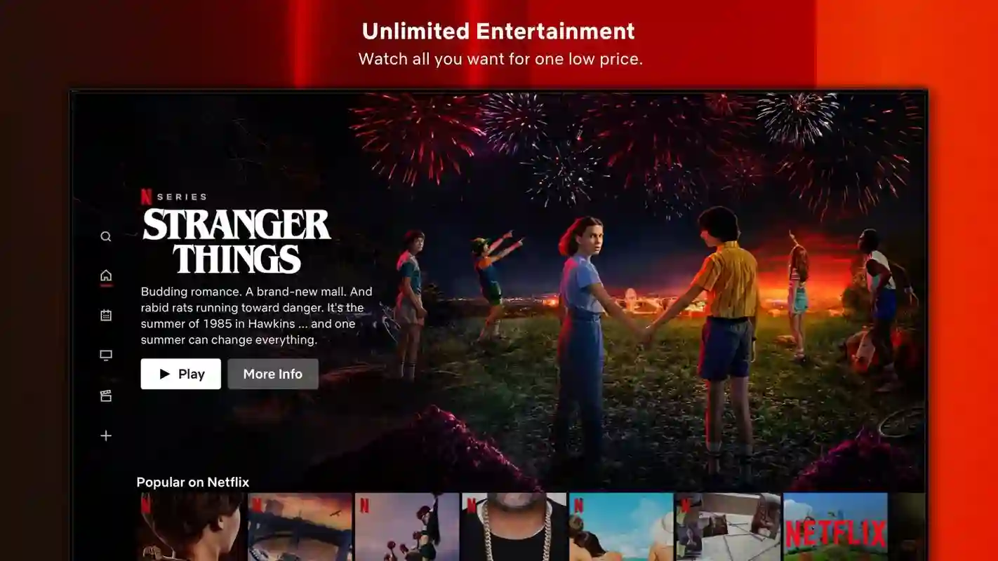 Netflix Mod Player